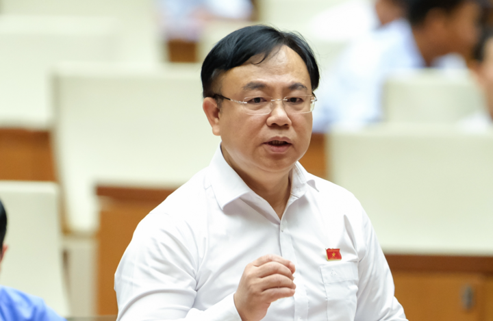 Đại biểu Nguyễn Công Long (Đoàn Đồng Nai).