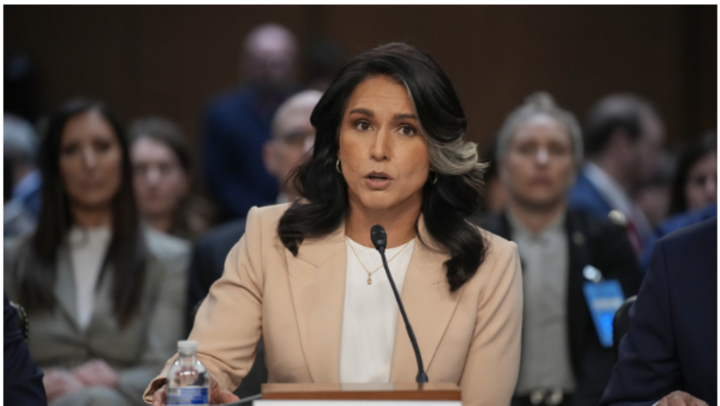 Giám đốc Tình báo Quốc gia Tulsi Gabbard. (Ảnh: Getty)