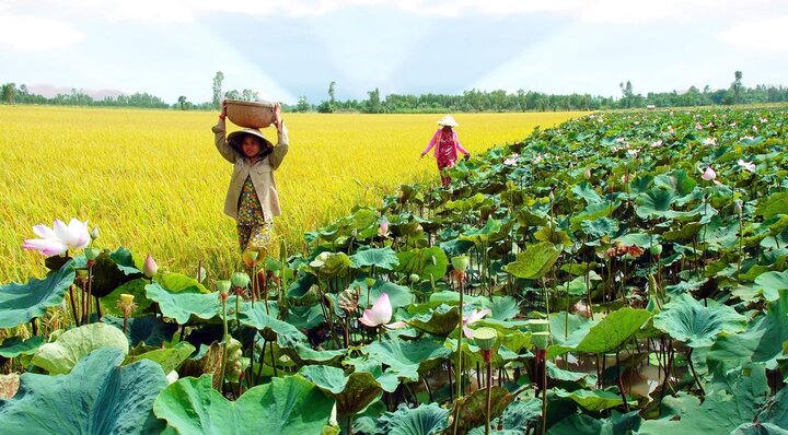Khánh Hoà, Ninh Thuận sáp nhập thành tỉnh nào? - 3
