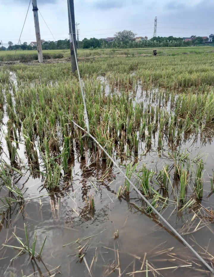 Đường dây điện trong lúc thi công bị rối, 2 công nhân xuống gỡ thì luồng điện phóng ra khiến họ gặp nạn.