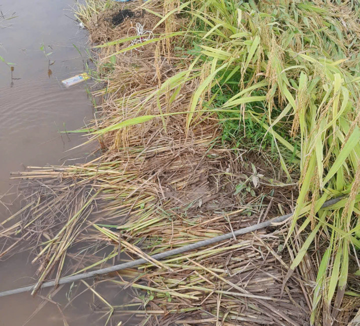 Vị trí nạn nhân tử vong.