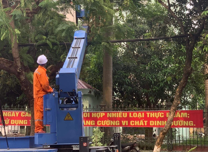 Công nhân tổ đường dây thực hiện công tác phát quang, chặt tỉa cây, bảo vệ hành lang an toàn lưới điện.