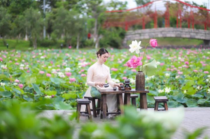 Hồ sen nở rộ tại Sun World Ha Long.