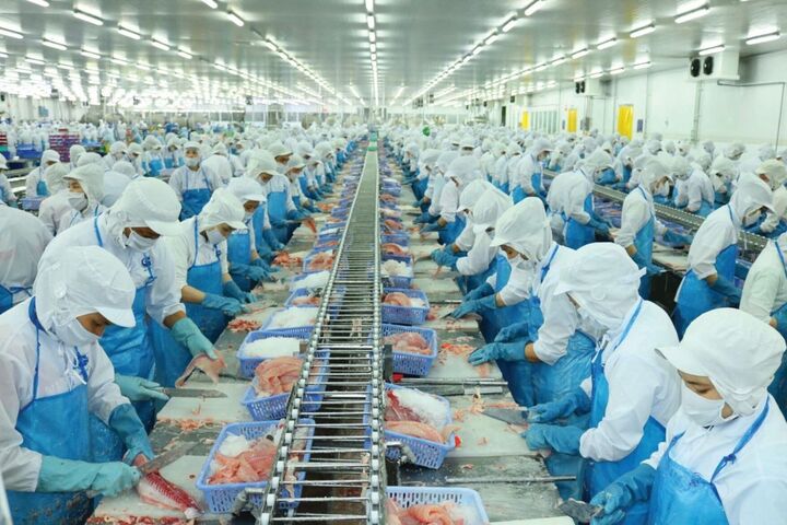 Tổng kim ngạch xuất khẩu thủy sản 5 tháng đầu năm đạt trên 4,34 tỷ USD, tăng 22% so với cùng kỳ 2024. (Ảnh minh họa)