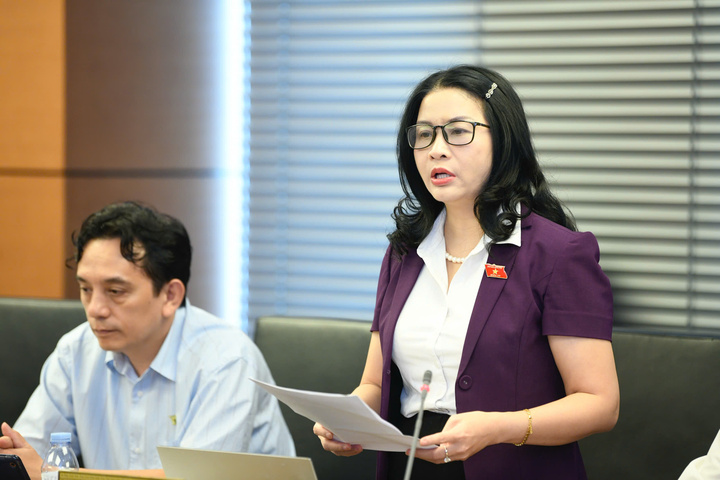 Đại biểu Quốc hội Nguyễn Thị Lan