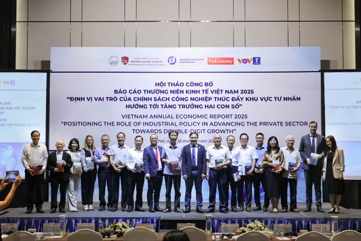 Định vị vai trò chính sách công nghiệp, thúc đẩy khu vực tư nhân phát triển - 1