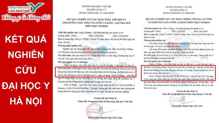 Nước Lá Bàng Lão Nhà Quê - giải pháp hỗ trợ ngừa vi khuẩn từ dược liệu dân dã - 3