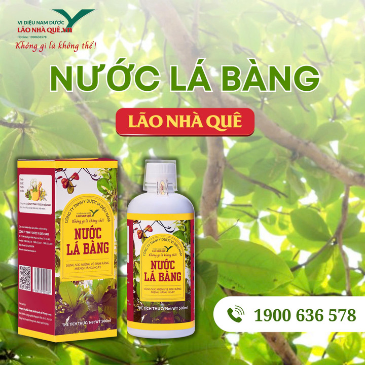 Nước Lá Bàng Lão Nhà Quê - giải pháp hỗ trợ ngừa vi khuẩn từ dược liệu dân dã - 2