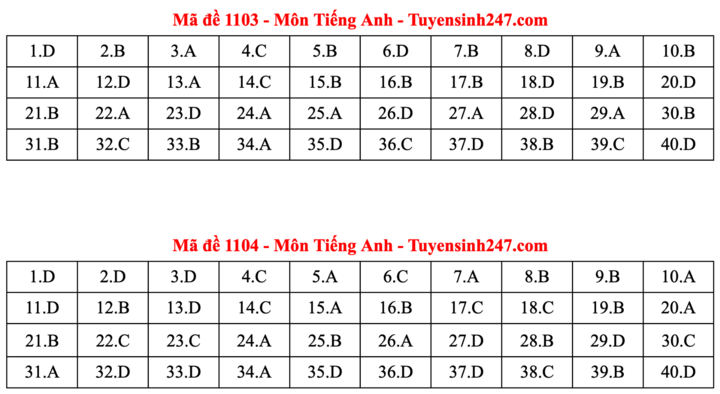 Đáp án đề thi môn tiếng Anh tốt nghiệp THPT năm 2025 tất cả mã đề - 2
