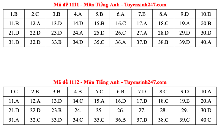Đáp án đề thi môn tiếng Anh tốt nghiệp THPT năm 2025 tất cả mã đề - 6