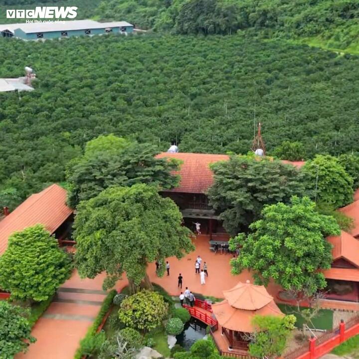 Khu trang trại rộng 34 hecta của Vi