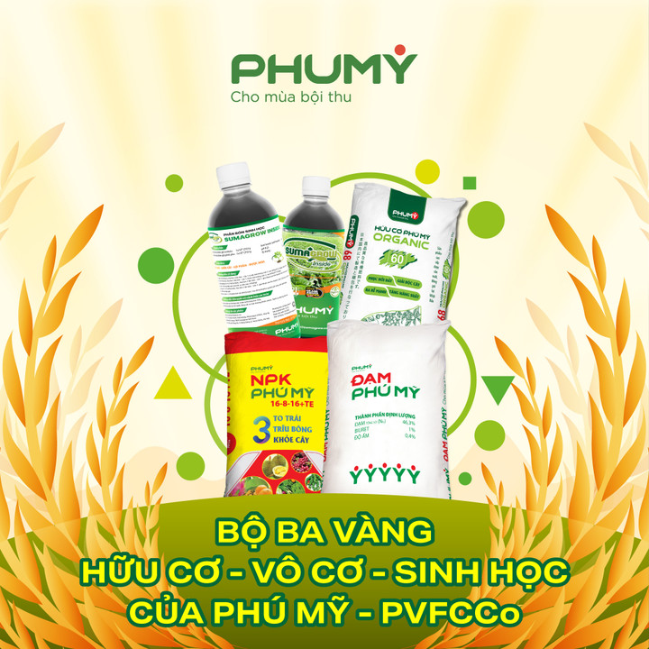 Bộ ba vàng vô cơ - hữu cơ - sinh học của Phú Mỹ - PVFCCo - 2