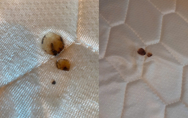 Ga, đệm bị cháy do tàn thuốc lá. (Ảnh: Phòng Văn hóa - Xã hội phường Cửa Lò)