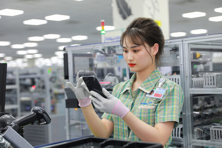 Mức thuế đối ứng 20%, kim ngạch xuất khẩu giảm khoảng 9-10% và tác động cuối cùng là làm GDP giảm khoảng 0,8 điểm phần trăm. (Ảnh: Vietnam+)