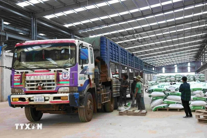 Nhiều doanh nghiệp xuất khẩu lúng túng khi thông tin địa chỉ trên hệ thống đăng ký thực phẩm xuất khẩu sang Trung Quốc không còn khớp. (Ảnh minh họa: TTXVN)