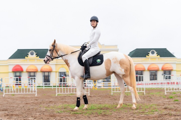 Sắp diễn ra giải cưỡi ngựa chuyên nghiệp - Vinpearl Equestrian Cup 2025 - 2