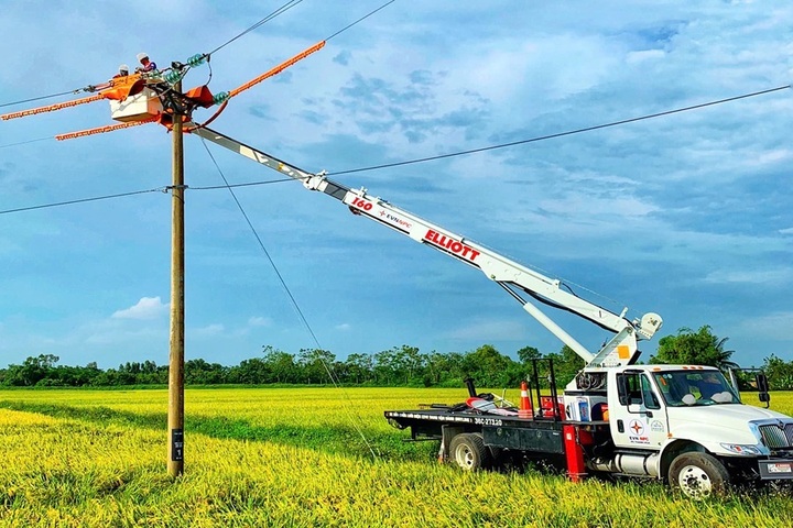 Bảo trì bảo dưỡng hệ thống lưới điện.