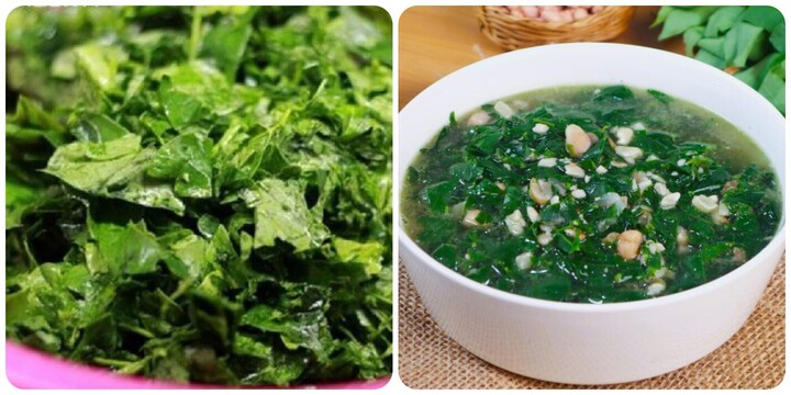 Rau ngót cho sức khoẻ nhưng không phải ai cũng ăn được.