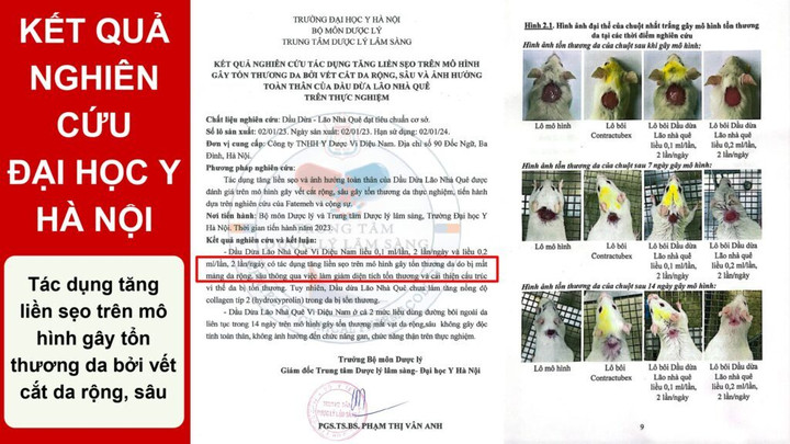 Nghiên cứu mới về tiềm năng hỗ trợ phục hồi da của dầu dừa nguyên chất - 2