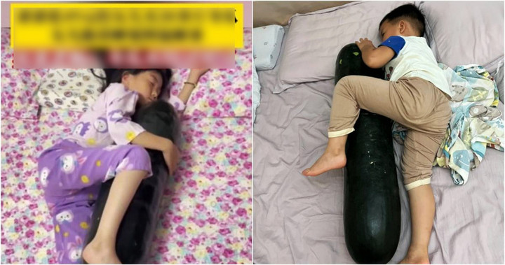 Ôm quả bí đao đi ngủ đang là mốt ở Trung Quốc.