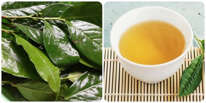 Nước chè xanh tốt cho sức khoẻ nhưng không phải ai cũng uống được.
