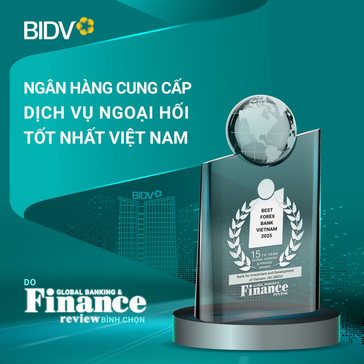 BIDV là ngân hàng cung cấp dịch vụ ngoại hối tốt nhất Việt Nam - 1