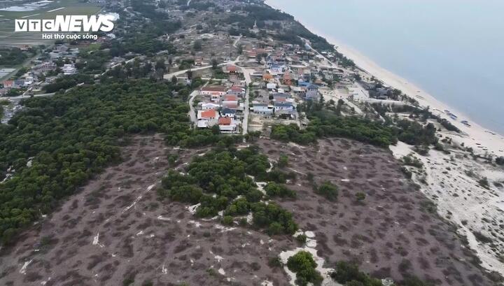 Hơn 3,1 ha rừng ven biển (trong đó có trên 2,5 ha rừng phòng hộ) bị UBND xã bán cho một cá nhân để khai thác gỗ trái phép.