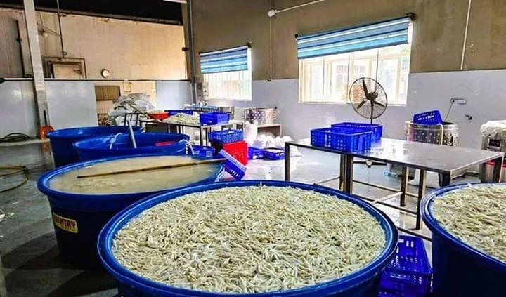 Thời điểm kiểm tra, lực lượng chức năng tỉnh Thanh Hoá phát hiện 6,9 tấn chân gà đang được ngâm, tẩy trắng bằng hoá chất Interox ST 50 (H2O2) tại kho đông lạnh Thanh Bình. (Ảnh: DMS)