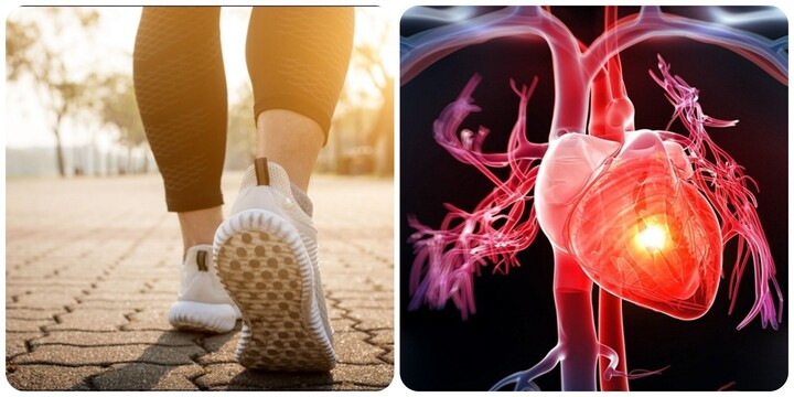 Có một số kiểu đi bộ rất tốt cho tim mạch