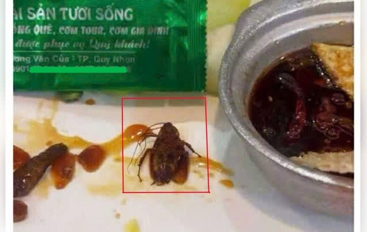 Hình ảnh gián xuất hiện trong tô kho quẹt tại nhà hàng H.L.2 được lan truyền trên mạng xã hội.