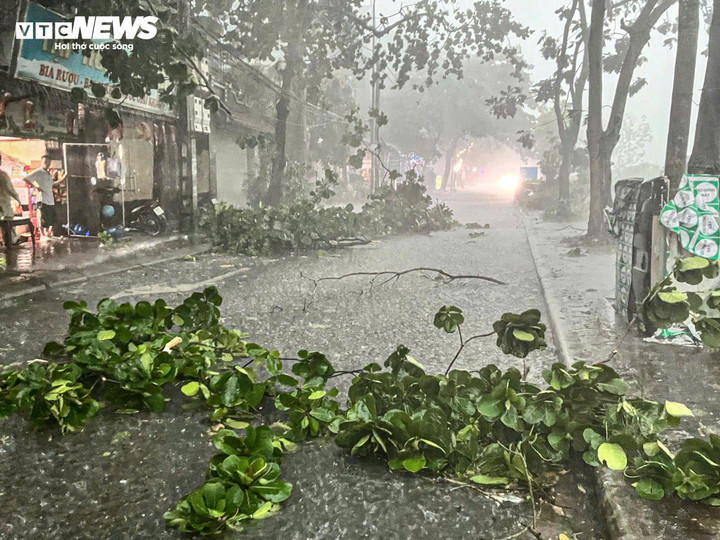 Biển bảng, cây cối gãy đổ trong cơn dông.