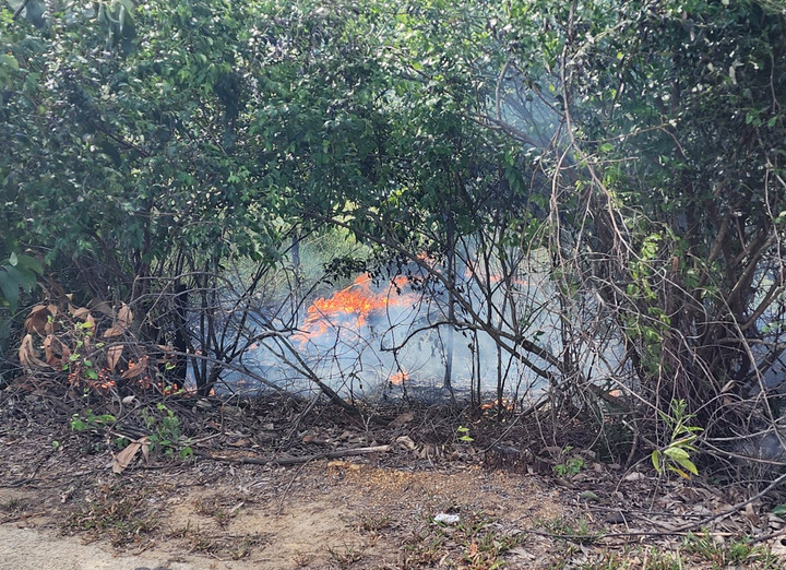 Đám cháy bùng phát lúc 9h30 ngày 19/7 tại khu rừng trồng thuộc phường Phong Phú (TP Huế). (Ảnh: V.K)