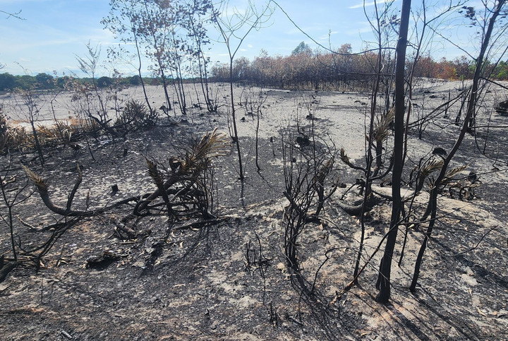 Đến 16h30 ngày 19/7, đám cháy mới cơ bản được lực lượng chức năng khống chế thành công. (Ảnh: V.K)