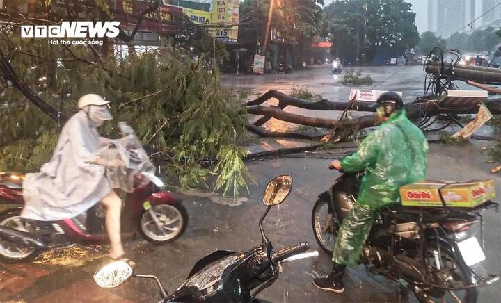 Gió bão cấp 10-11 có thể làm đổ cây cối, tốc mái nhà... (Ảnh minh hoạ: Viên Minh)