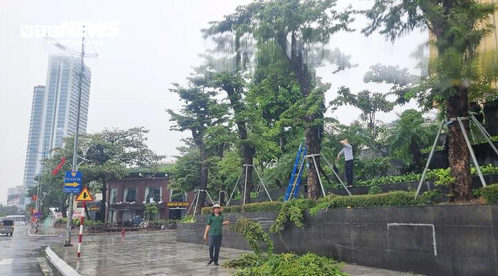 Người dân tranh thủ cắt tỉa cành cây trước khi bão số 3 đổ bộ đất liền. (Ảnh: Tiến Thắng)