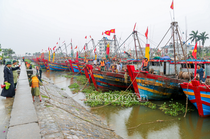 Lực lượng chức năng và người dân chằng buộc phương tiện tại khu neo đậu tàu thuyền Cảng cá Tân Sơn, xã Thái Thụy ứng phó với bão số 3.