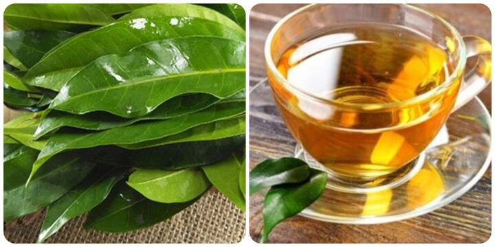 Nước vối tốt cho sức khoẻ nhưng không nên lạm dụng.