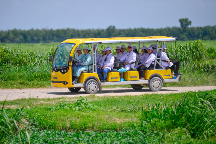 (Ảnh: Quang Định)