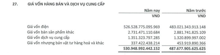 EVN cắt đứt mạch lỗ, báo lãi sau thuế hơn 8.200 tỷ đồng năm 2024 - 4