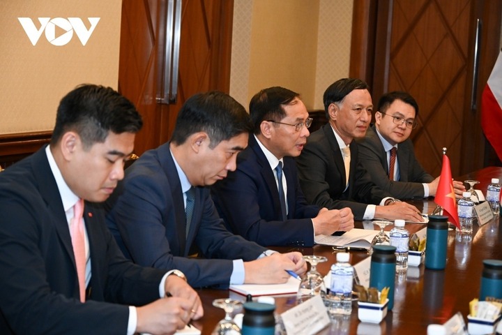 Phó Thủ tướng, Bộ trưởng Ngoại giao Bùi Thanh Sơn phát biểu tại cuộc gặp.