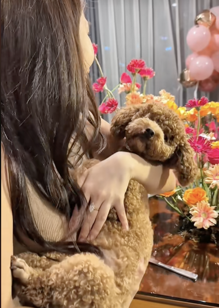 Tranh cãi chuyện cô gái Hà Nội chi 50 triệu đồng tổ chức sinh nhật cho chó - 6
