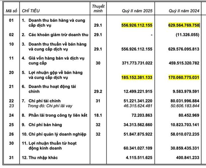Kết quả Báo cáo tài chính Quý 2/2025 của Taseco Land.