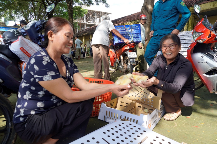 Chương trình năm nay hỗ trợ sinh kế cho 80 hộ nông dân có hoàn cảnh khó khăn tại xã Long Hà
