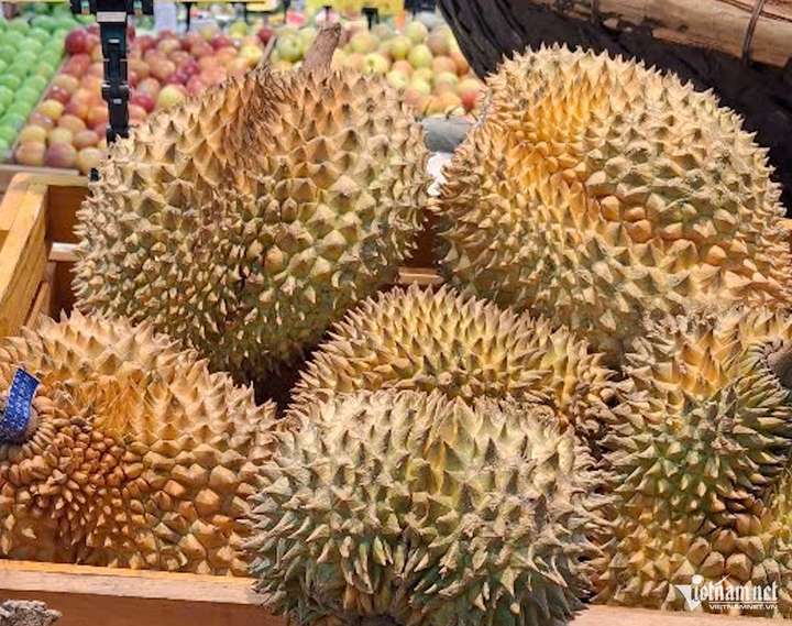 Xuất khẩu sầu riêng lấy lại đà tăng trưởng và kỳ vọng sẽ bứt phá những tháng cuối năm. Ảnh: TA