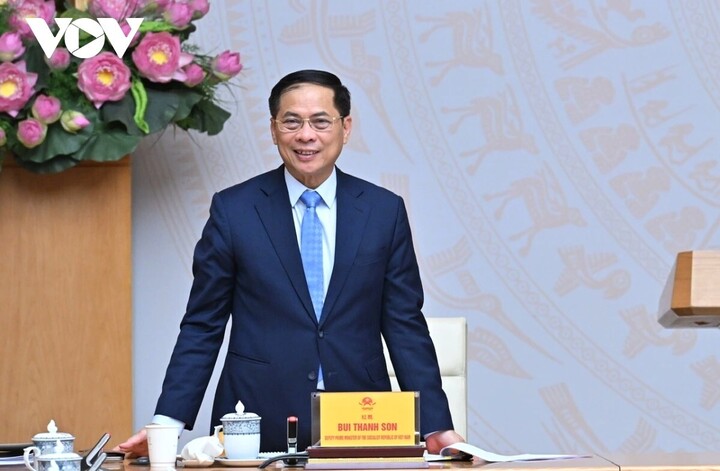 Phó Thủ tướng, Bộ trưởng Bộ Ngoại giao Bùi Thanh Sơn.