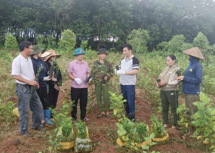 Trồng một cây – nhiều giá trị.