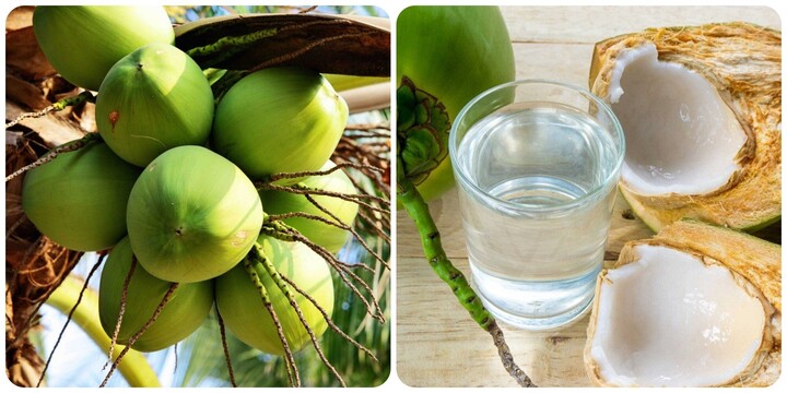 Uống nước dừa buổi sáng rất tốt cho sức khoẻ.
