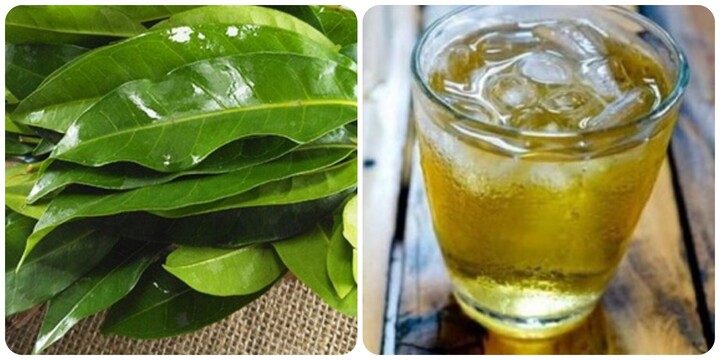Uống nước vối hàng ngày với lượng vừa đủ rất tốt cho sức khoẻ