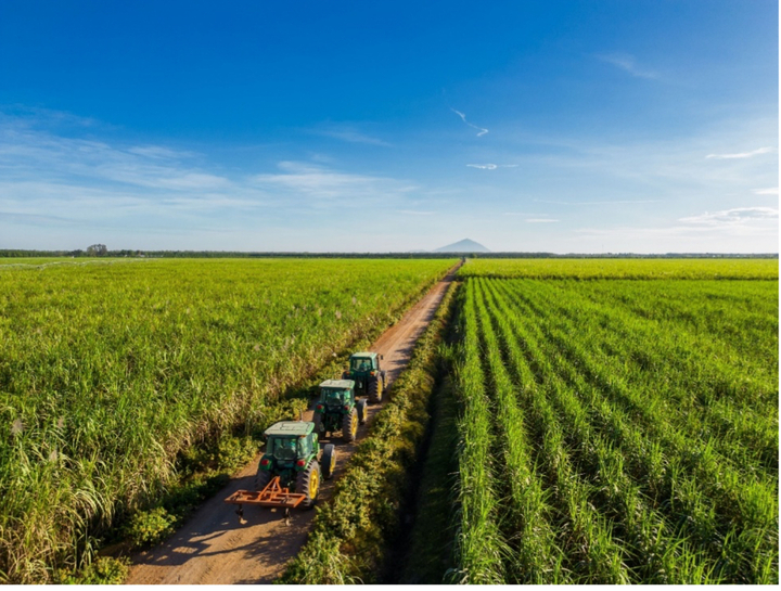 AgriS hiện sở hữu vùng nguyên liệu được tích hợp công nghệ cao với quy mô lên tới 71.797 ha tại 4 nước Việt Nam, Lào, Campuchia và Úc.