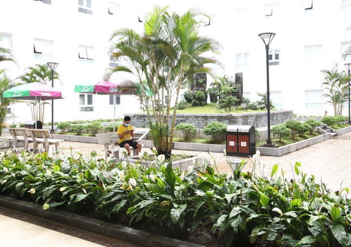 Bệnh viện "lột xác" thành công viên chữa lành